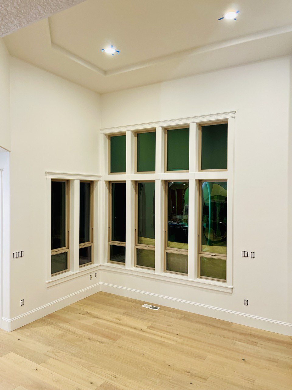 Professional painting by WifPros